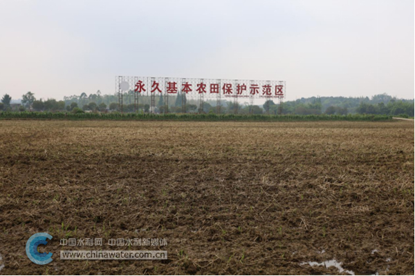 1_һຆ(bo)3530.jpg