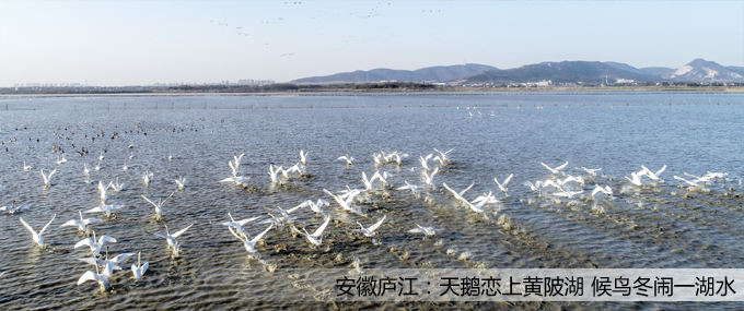 퓴Dģ ؐ.jpg
